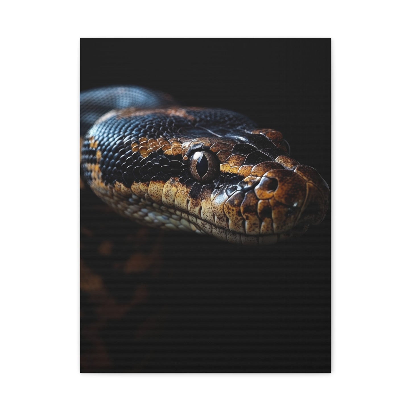 Striking Python Elegance - Wildlife Wall Art - Aestheticanvas