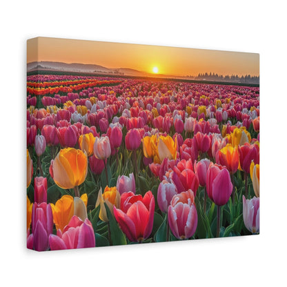 Sunlit Tulip Bloom in Full Glory - Flower Wall Art - Aestheticanvas