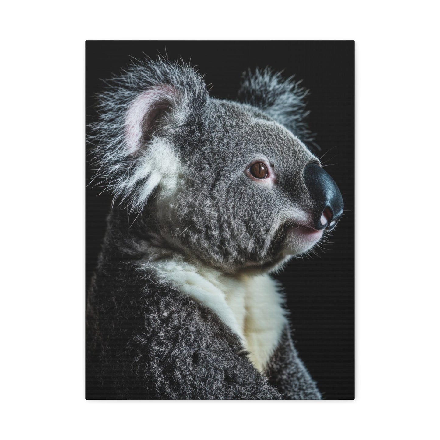 Tranquil Koala - Wildlife Wall Art - Aestheticanvas