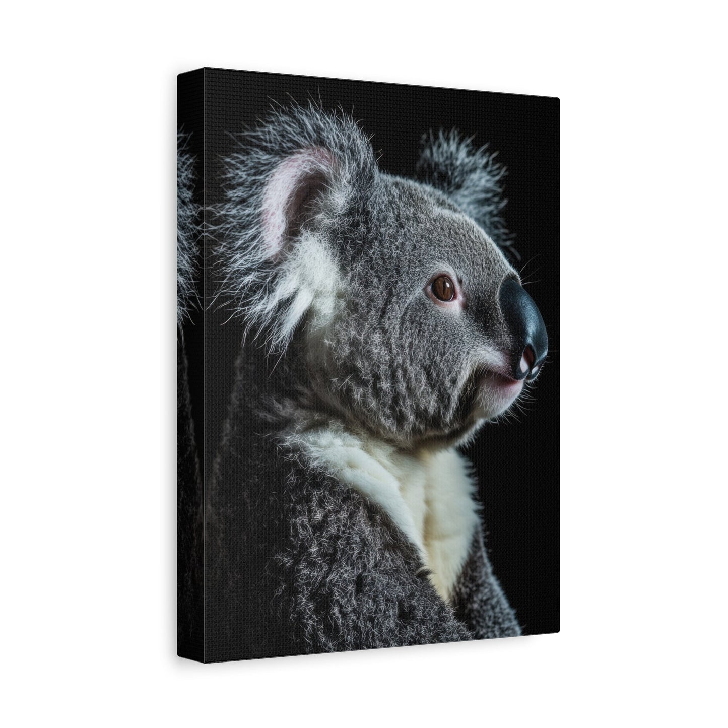 Tranquil Koala - Wildlife Wall Art - Aestheticanvas