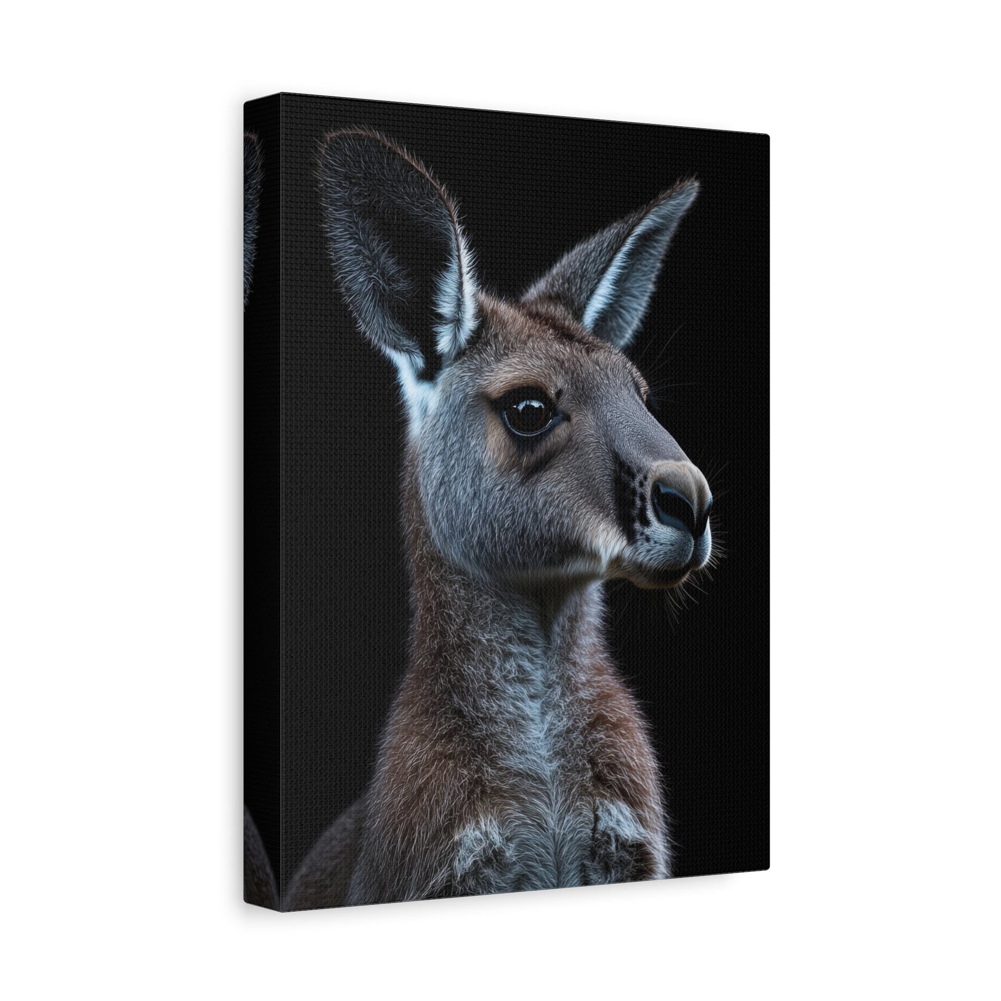 Vigilant Roo - Wildlife Wall Art - Aestheticanvas