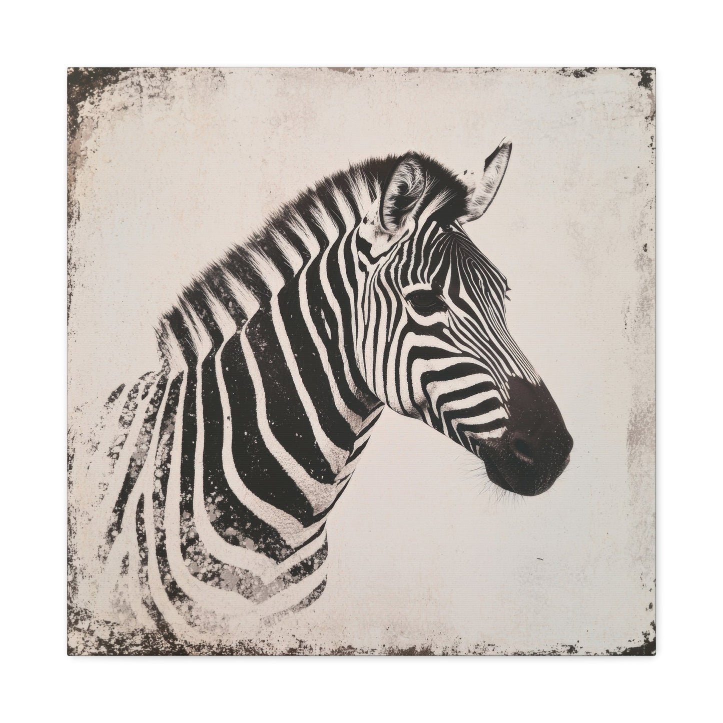 Vintage Zebra Profile - Animal Wall Art - Aestheticanvas