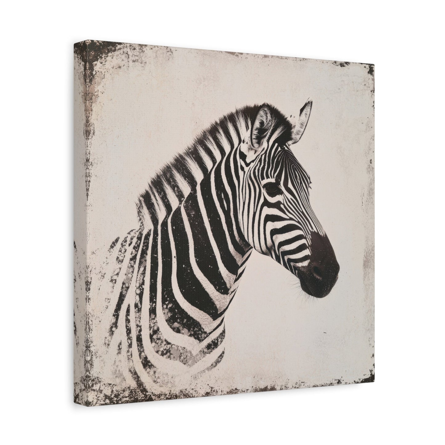 Vintage Zebra Profile - Animal Wall Art - Aestheticanvas